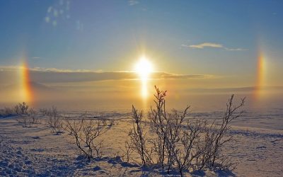 RUOL 2023 : c&rsquo;est parti !